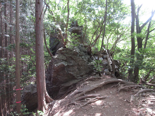 登りで通過した岩茸岩の脇を通り抜けて、下山は尾根コースを取る