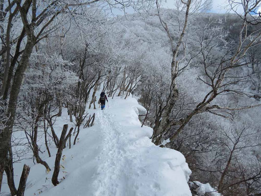 右側が切れ落ちているルート　雪庇が張り出しています