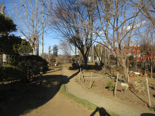 本隊より相前後し、ちょっと早めの到着