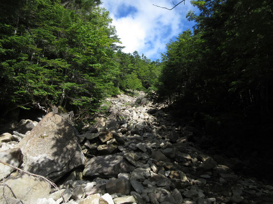 樹林帯をしばらく行くと岩ゴロの沢状の箇所に出る　ここからずっと急登続きでしぼられる