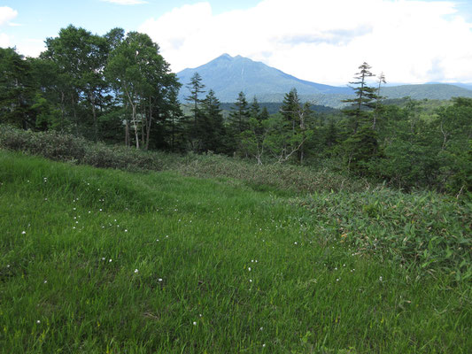 振り返れば、後ろには燧ヶ岳がきれいに見える