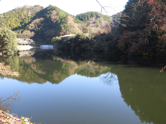 向こう側から歩いてきた