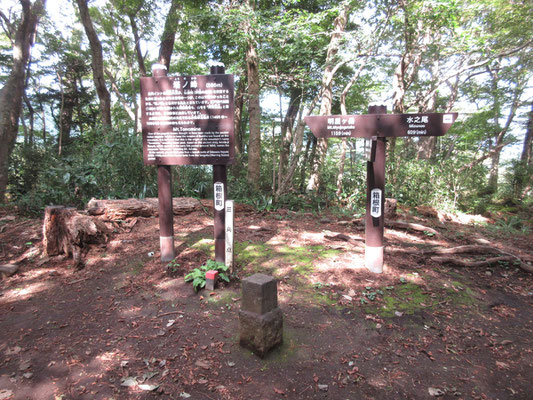 やはり山頂も見晴らしなし　三等三角点がある　持参した冷たいジュースを飲み、喉を潤してすぐに出発