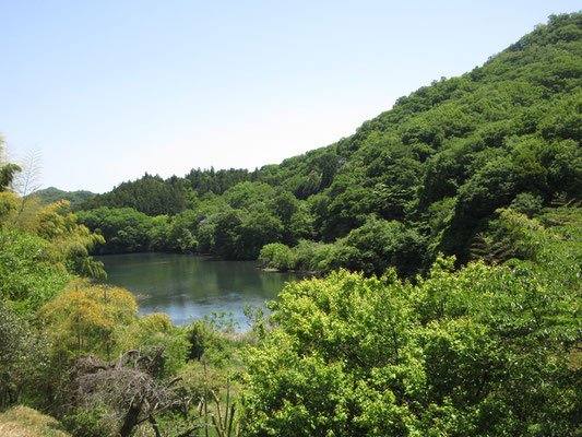 貯水湖周辺は雰囲気がいい