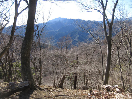この稜線には一箇所、すっきりとお手本のように大山が見通せる箇所がある　完璧な構図！