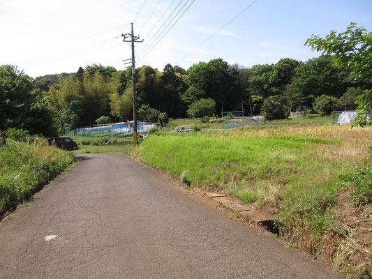 神社から歩き始めると、すぐに農園地帯に入る