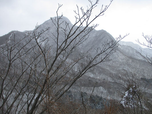 スルス峠手前から見る枝越しの相馬山