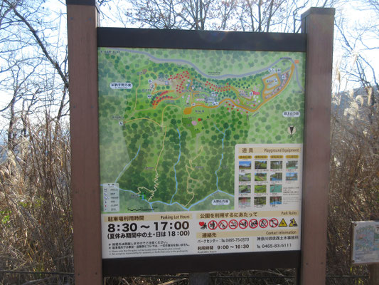 次なるは場所を変え、丹沢湖から西丹沢　県立山北つぶらの公園へ