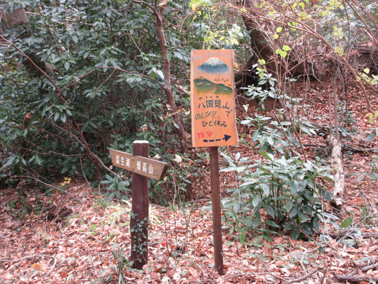 一般のハイキングコースを行くと、途中にこのような看板がある　ここからハイキングコースを分けて曲がる