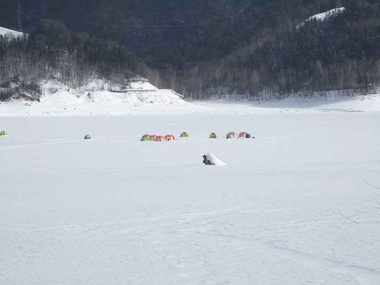 糠平湖ではワカサギ釣りも冬期の愉しみの一つ