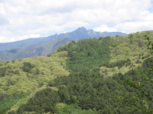ギザギザの岩峰は瑞牆山