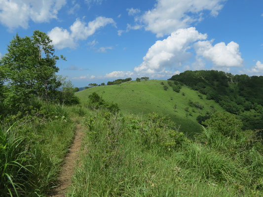 殿城山に向かい下山開始