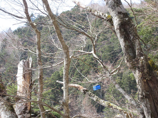 下り始めると向こうの山肌の索道をブルーシートに包まれた荷物がケーブルに乗って運ばれていた　一回に200kgまで運べるとのこと