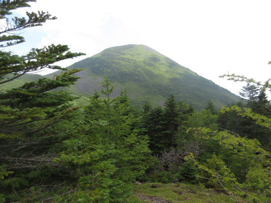 こちらは編笠山 デカい!
