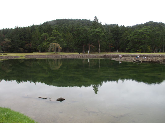 池中央（写真では右側）の島で、作業をしている人が二人　どうやってそこまで行ったのだろう？