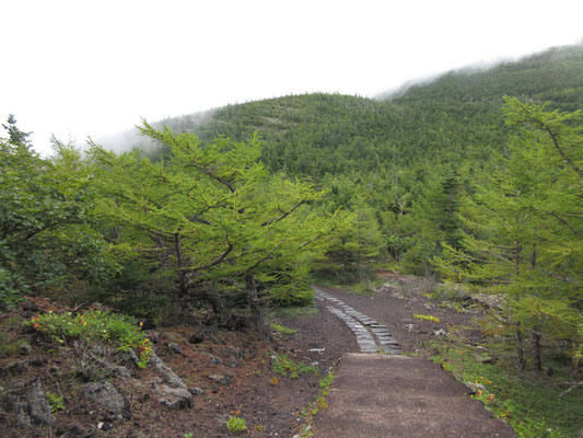 一旦下っていく　正面の雲のなかが富士山頂の方