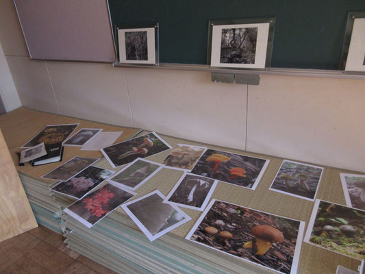 展示会場2