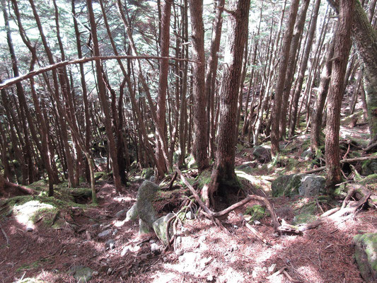 至福のひとときを過ごしたら、来た道を下山　