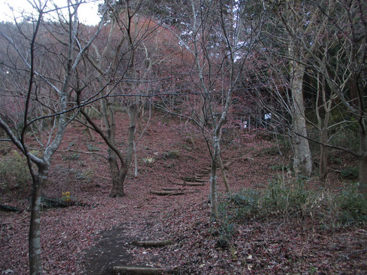 とすぐに、雰囲気のいい山道