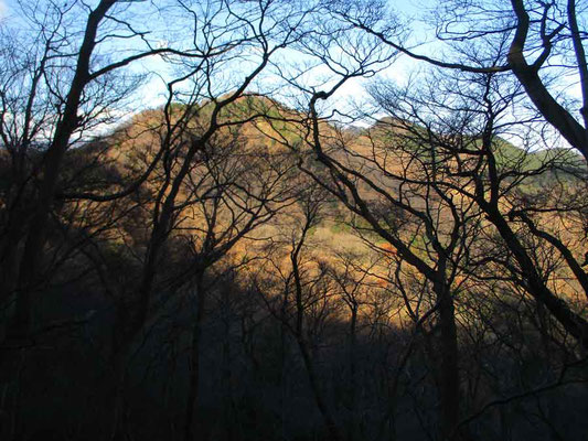 早朝の日を浴びる西山