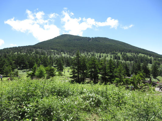 正面に存在感あるのは縞枯山