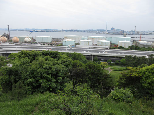 今はこんな風になってしまっているが、昔は緑の下がすぐ波打ち際になっていた　この根岸のコンビナートは本州の石油基地で、内陸部への石油もこのコンビナートから移送されている　東日本大震災の時の路線を繋いで山形経由で被災地まで運んだ石油も、この根岸から石油貨物路線で運搬された