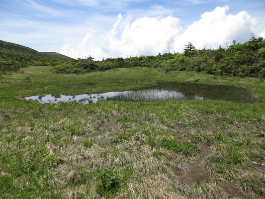 池塘が点在　こんな景色を見ると、東北の山に来たんだな〜としみじみ嬉しくなる　