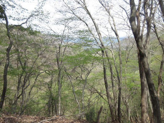 朝やってきた時より、緑が豊かになっている気がする