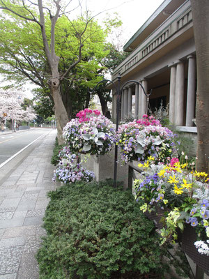 山手234番館の花　しばらく閉館となっているが、花はきれいに飾られている