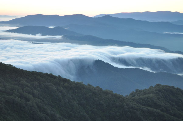 雲海の滝