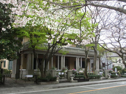 山手234番館　桜と新緑とを前景に