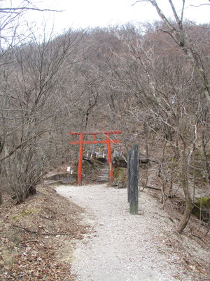 峠を越して鳥居をくぐると本番の急登が始まります