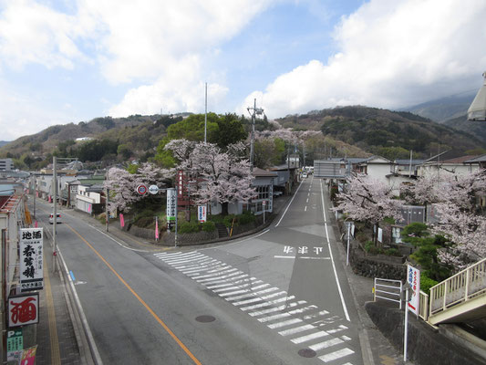 富士川町、鰍沢の本通りも今はめっきり交通量が少なくなったそう　銘酒「春鶯囀（しゅんのうてん）」が旨いとひとしきり話題になる