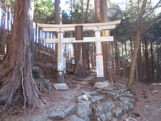 登山口から少し行くとすぐに最初の鳥居