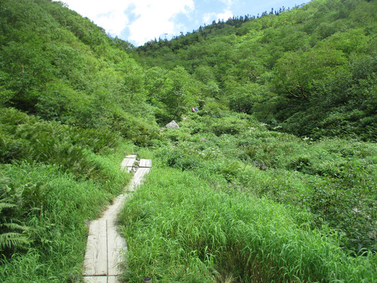 こんな所がクマさんの踊り場・・・ここから500ｍ先が鏡平　おまちかねの休憩所