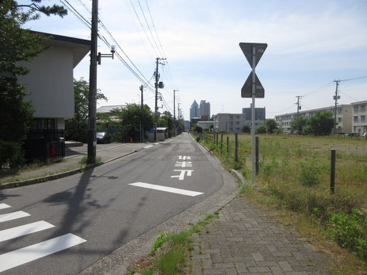 西海岸公園手前を振り返ると、市内のランドマークが見える