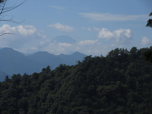 ここからは一部、視界が開けていて富士山の頭が見えた