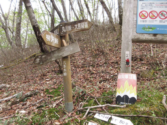 ここが鶏冠山などへの分岐　六本木峠