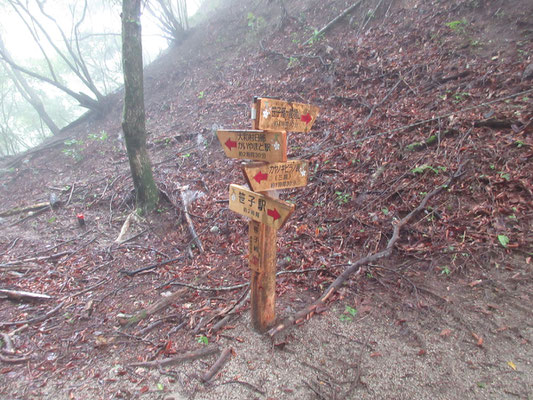 この山域には、このタイプの標識が沢山立てられている