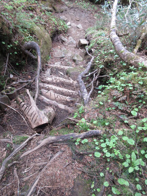 下山時　薬師岳も心遣いのある、自然の登山道管理が成されていた