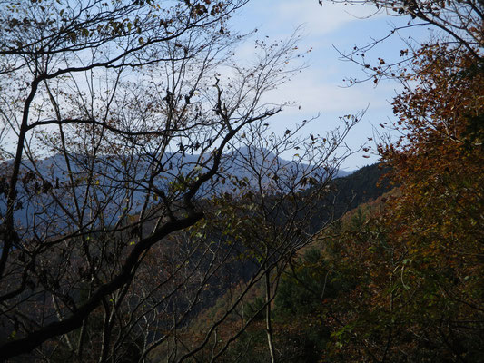 稜線をしばらく行くと、右手（北側）に奥多摩の名峰 大岳が見えた