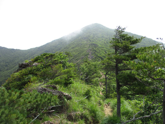 馬の背から見上げる堂々としたアポイ岳　とても800ｍそこそこの山とは思えません