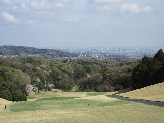 下山したゴルフ場際の大沢登山口の上　標高が少し高いので厚木市内が見渡せる