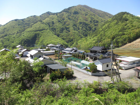 だらだら下りのその道を行くと、朝私の車をデポしておいた塩川近くの増冨ラジウムライン脇に飛び出した　すぐに手を揚げ前泊で参加した木曜山行　今だけのいい季節、いい日に最高の山歩きでした　感謝！