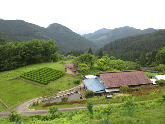 そこから見下ろす景色　長閑でとてもいい感じ　広いテラスがあり、そこで食事もできる