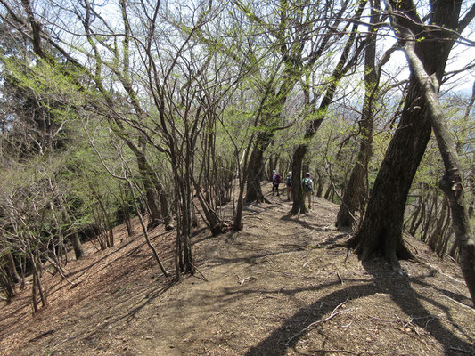 大たるみに向かって下山開始