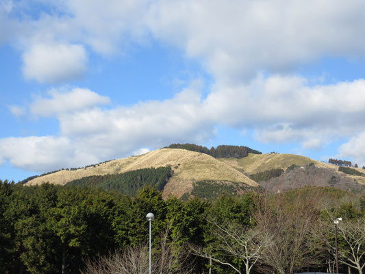 山頂は見えないが、公園から見上げる大野山の方　のんびり新年の山歩きを楽しめました　こうした日常が持てる事に心から感謝