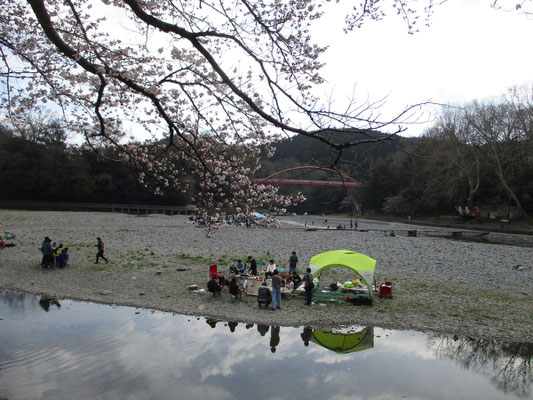 ちょっと肌寒い日でしたが、河原ではもうキャンプを楽しむグループも