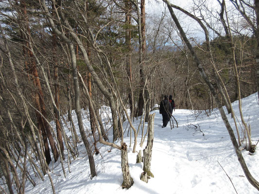 いい気分で雪の山道を行く