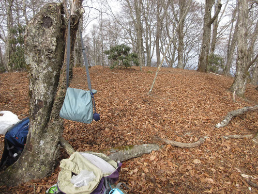 広々した山頂部で休憩